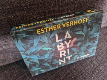 Dwarsligger 650: Labyrint, de verhalen - Esther Verhoef beschikbaar voor biedingen