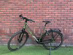 Koga F3 6.0 2023 maat xl 59cm damesfiets Alfine 8 Gates, Versnellingen, 56 cm of meer, Zo goed als nieuw, Ophalen