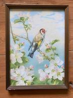 Jaren ‘30 lijst met vink, Ophalen of Verzenden, Gebruikt, Schilderij, Minder dan 50 cm