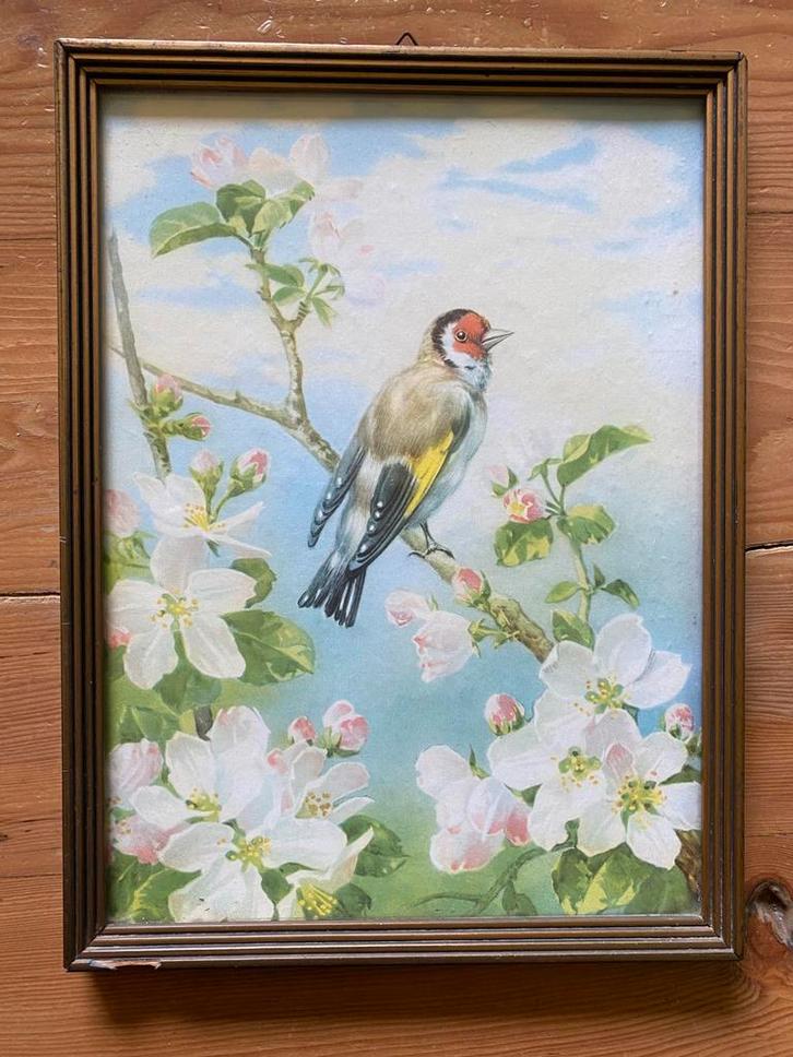 Jaren ‘30 lijst met vink, Huis en Inrichting, Woonaccessoires | Schilderijen, Tekeningen en Foto's, Gebruikt, Schilderij, Minder dan 50 cm