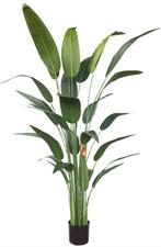Mooie strelitzia kunstplant met bloem 180cm NIEUW in doos, Ophalen, Nieuw, Binnen
