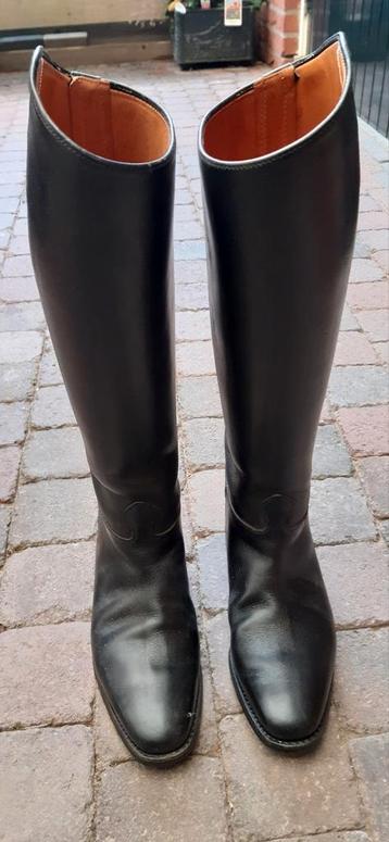 Petrie paardrijlaarzen maat 40 - 41 beschikbaar voor biedingen