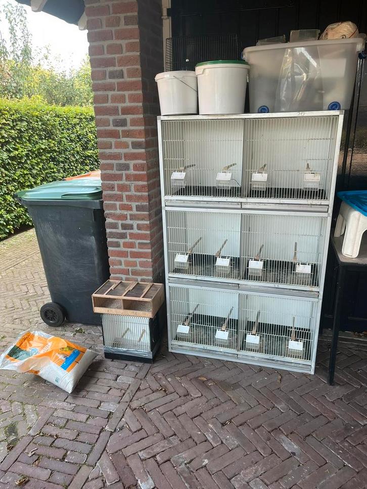 Broedkooien+toebehoren, Dieren en Toebehoren, Vogels | Hokken en Kooien, Zo goed als nieuw, Broedkooi of Kweekkooi, Kunststof