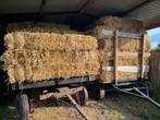 Kleine baaltjes tarwestro, Dieren en Toebehoren