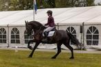 Talentvolle zeer mooie Friese merrie, Dieren en Toebehoren, Paarden, Merrie, Dressuurpaard
