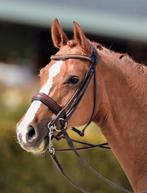 Rondgenaaid bruin stang en trens hoofdstel + extra’s, Ophalen of Verzenden, Gebruikt, Dressuur