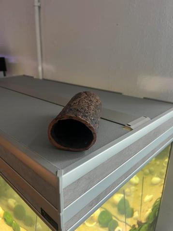 Groot leghol beschikbaar voor biedingen