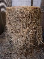 Ronde balen voordroogkuil/gras, Zakelijke goederen, Agrarisch | Veevoer, Ophalen of Verzenden