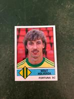 Panini plaatje Wout Holverda Fortuna Sittard voetbal 87, Verzamelen, Sportartikelen en Voetbal, Ophalen of Verzenden