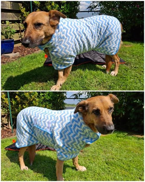 Hondenbadjassen XS t/m XL NIEUW, Dieren en Toebehoren, Honden-accessoires, Nieuw, Ophalen of Verzenden