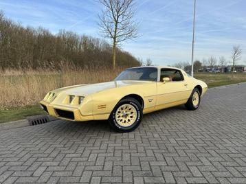 1981 Pontiac Firebird Yellow Bird 4.9 beschikbaar voor biedingen