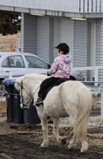 Verzorgpony gezocht, Dieren en Toebehoren, Ophalen, Zo goed als nieuw