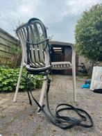 Hoofdstel maat full, met lak en een mooie blauwe frontriem, Dieren en Toebehoren, Ophalen of Verzenden, Zo goed als nieuw, Dressuur