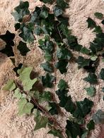 Decoratie klimop, Ophalen of Verzenden, Zo goed als nieuw