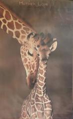 Giraffe poster in glas, Ophalen, Gebruikt, Rechthoekig Staand