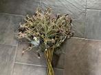 NIEUW PTMD kunstbloemen Accacia 90 cm kunsttak, Ophalen of Verzenden, Nieuw