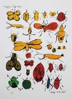 Andy Warhol(1928)Grano Lithografie "Happy Bug Day " Ges Gen, Ophalen of Verzenden