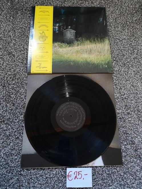 Frank Carter & The Rattlesnakes, Cd's en Dvd's, Vinyl | Hardrock en Metal, Zo goed als nieuw, Ophalen of Verzenden