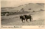 panorama omgeving Mechelen, Hub Leufkens, Verzamelen, Ansichtkaarten | Nederland, Ophalen of Verzenden, 1940 tot 1960, Gelopen