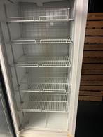 Diepvrieskast, Vrieskast, Gebruikt, 160 cm of meer, Ophalen of Verzenden