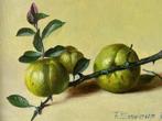 Fred Smoolenaers, stilleven met takje fruit, Ophalen