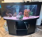 Aquarium  juwel450, Dieren en Toebehoren, Vissen | Aquaria en Toebehoren, Ophalen, Zo goed als nieuw, Gevuld zoetwateraquarium