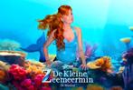2 tickets voor de musical de kleine zeemeermin, Twee personen, Juni