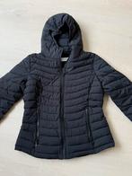 Te koop calvin klein gewatteerde jas, maat m, Kleding | Dames, Jassen | Winter, Ophalen of Verzenden, Zo goed als nieuw, Zwart