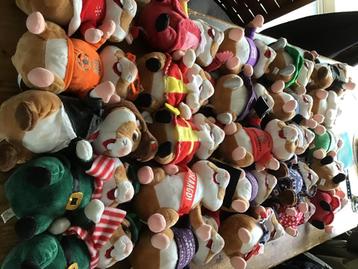 26 AH hamsters in 1 koop beschikbaar voor biedingen