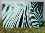 Print zebra, Antiek en Kunst, Ophalen