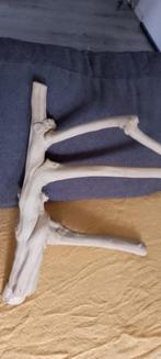 Java zistok vogel, Dieren en Toebehoren, Vogels | Toebehoren, Ophalen, Zo goed als nieuw