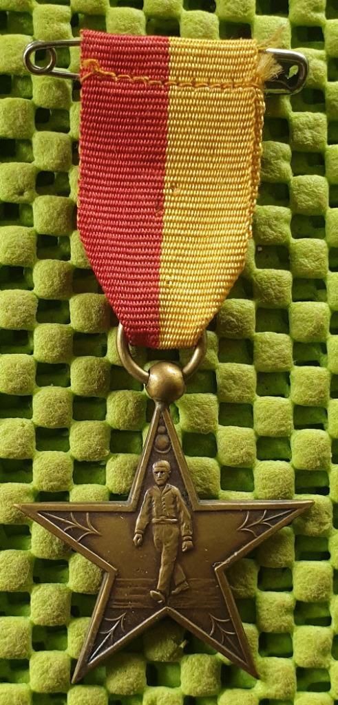 Medaille:  Lingekanters  Lingewaard  26/27-6-1937 - 35km., Postzegels en Munten, Penningen en Medailles, Overige materialen, Nederland