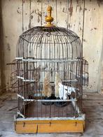 Grote oude vogelkooi, Antiek en Kunst, Ophalen