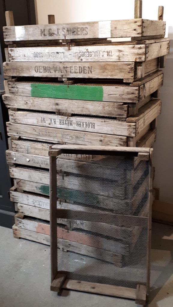 gaasbakken / bollenbakken / bollenkisten / moestuin bakken, Tuin en Terras, Bloembakken en Plantenbakken, Gebruikt, Hout, Minder dan 30 cm
