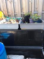 Grote vijverbak, zeer degelijk, Tuin en Terras, Vijvers, Ophalen of Verzenden, Zo goed als nieuw