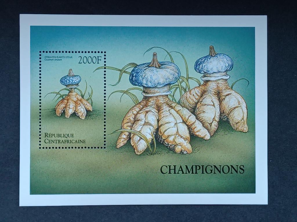 Postzegels Paddenstoelen - Rep.Centrafricaine, Ophalen of Verzenden, Postfris, Dier of Natuur