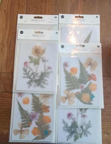 Droogbloemen van Rico Design - zie foto en omschrijving beschikbaar voor biedingen