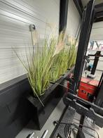 Plantenbak afscheiding 2x, Ophalen, Gebruikt, 100 cm of meer, Binnen