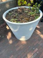 Grote witte plantenpot, Ophalen, Zo goed als nieuw, Rond, Steen