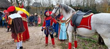 Ozosnel met Paardenpiet  beschikbaar voor biedingen