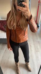 Drykorn Leren biker Jasje Cognac - Maat S, Bruin, Ophalen of Verzenden, Zo goed als nieuw, Jasje