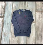 Ralph lauren knit, Maat 52/54 (L), Blauw, Ralph Lauren, Nieuw