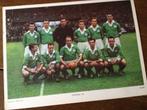 Oude voetbal platen jaren 50, Verzamelen, Ophalen of Verzenden, Overige typen