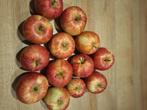 Bio appels, Tuin en Terras, Planten | Fruitbomen, Ophalen, Minder dan 100 cm, Overige soorten, Zomer