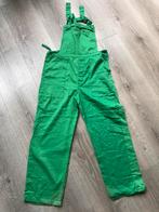 Carnaval Groen Tuinpak mt S/176 en div., Kinderen en Baby's, Kinderkleding | Maat 176, Ophalen of Verzenden, Gebruikt, Jongen of Meisje