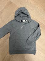 Nik&Nik Grijze Hoodie Maat 10/140, Kinderen en Baby's, Kinderkleding | Maat 140, Verzenden, Zo goed als nieuw, Jongen of Meisje