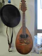 Mandoline en banjolines, Muziek en Instrumenten, Ophalen of Verzenden, Gebruikt