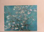 IXXI Amandelbloesem - van Gogh, Ophalen of Verzenden, Zo goed als nieuw, Schilderij, 100 tot 125 cm