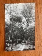 Berkenlaantje. Plasmolen (Gem. Mook)., Ophalen of Verzenden, 1940 tot 1960, Gelopen, Limburg