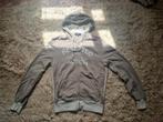 Nieuw. Mooie hoody/sweater Trussardi. Mt M, Ophalen of Verzenden, Nieuw, Maat 48/50 (M), Trussardi
